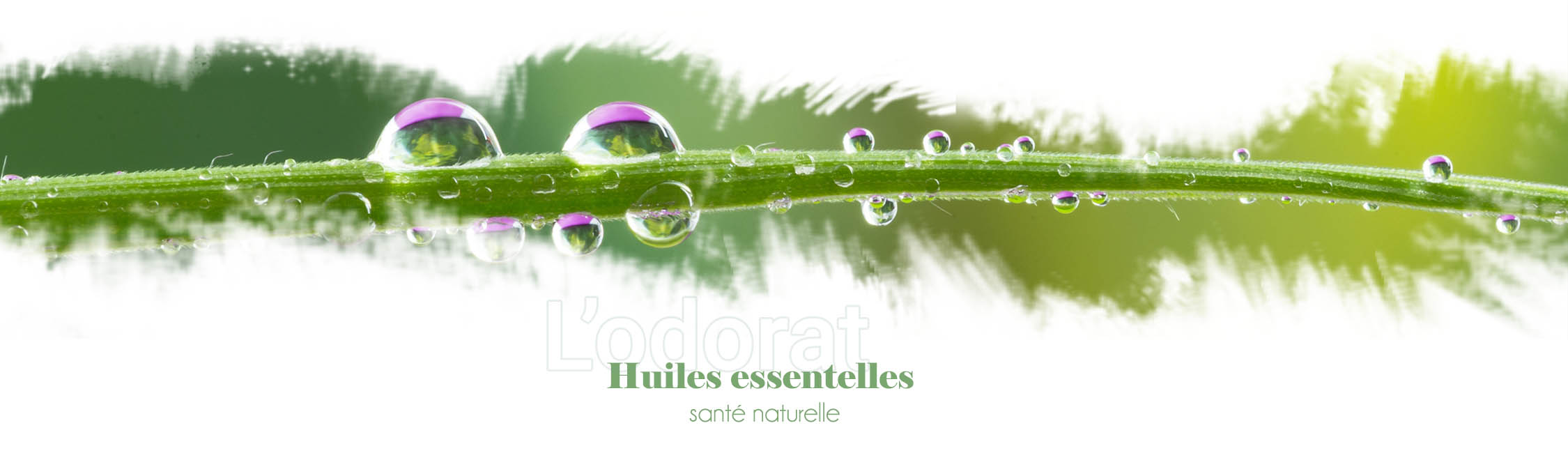 Huiles essentielle aromatherapie
