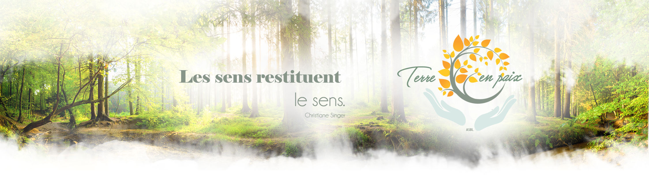 Terre en paix ayurveda massage soins